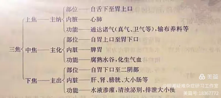 浅析三焦辨证-清.吴鞠通